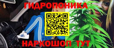 индика Бузулук