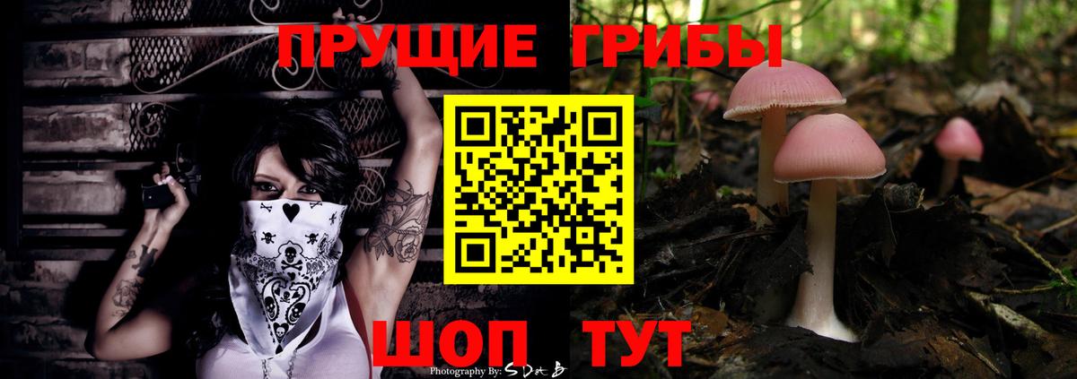 Псилоцибиновые грибы ЛСД Омск